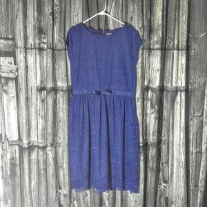Shabby Apple Lace Alice Dress navy blue